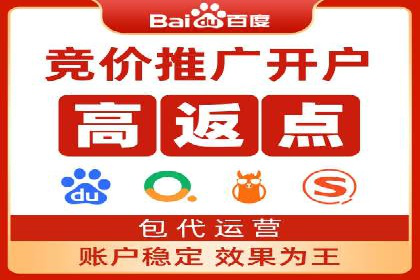 金融行业SEM服务的创新应用与效果